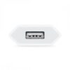 Apple caricatore USB 5W